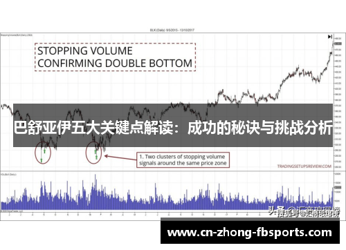 巴舒亚伊五大关键点解读：成功的秘诀与挑战分析