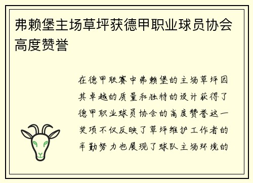 弗赖堡主场草坪获德甲职业球员协会高度赞誉