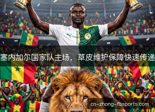 塞内加尔国家队主场，草皮维护保障快速传递